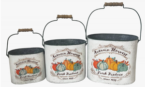 Autumn Harvest Pails 9in, 8in and 6in